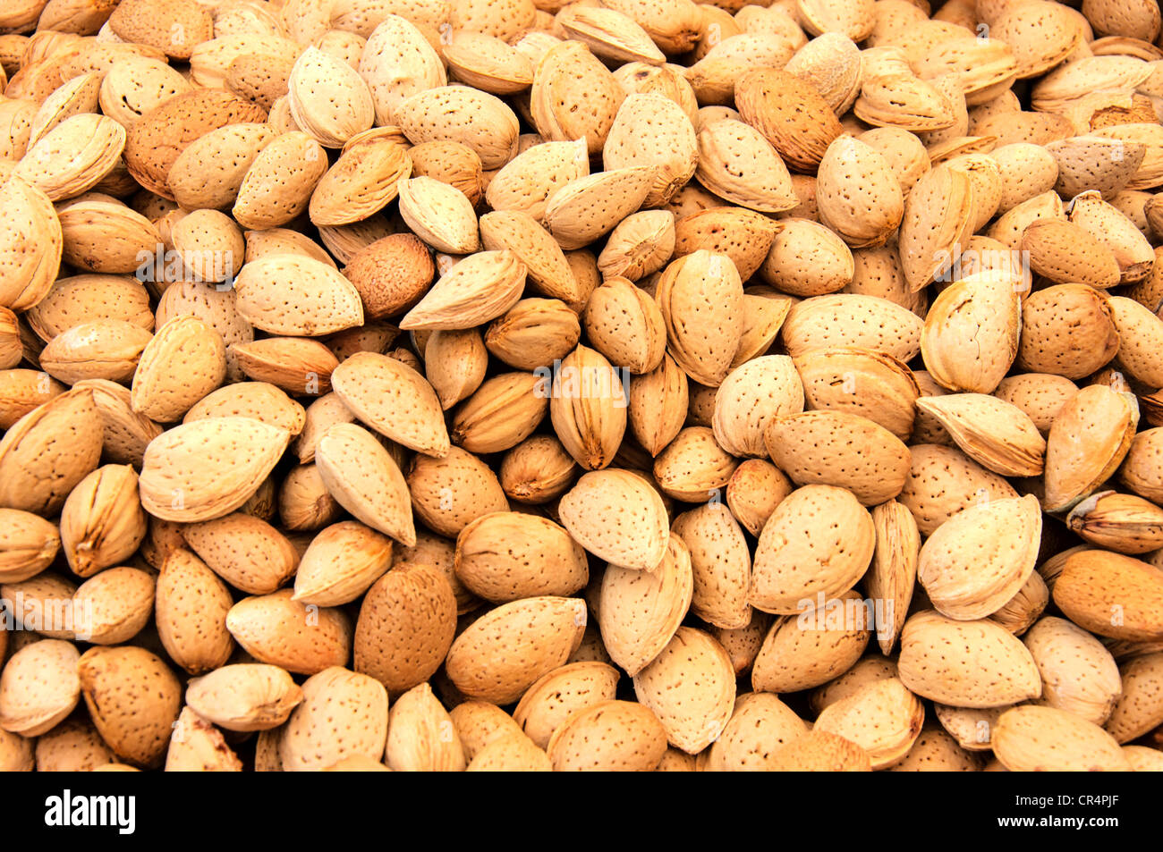 Full of taste hi-res stock photography and images - Alamy