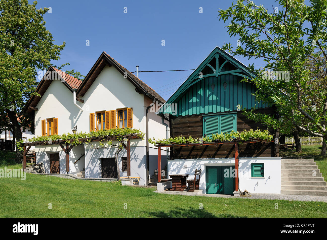 Weinhauer houses on Csaterberg, Kohfidisch, Burgenland, Austria, Europe Stock Photo