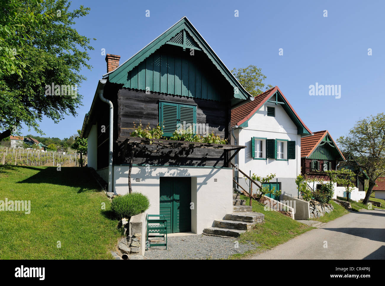 Wine growers' houses on Csaterberg mountain, Kohfidisch, Burgenland, Austria, Europe Stock Photo
