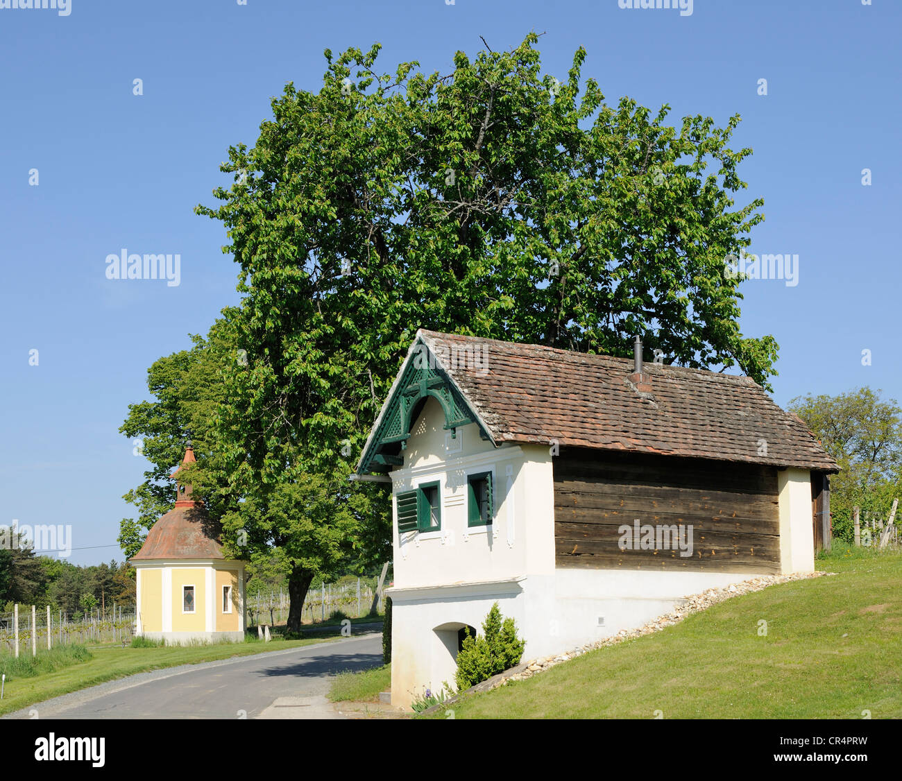 Wine grower's house on Csaterberg mountain, Kohfidisch, Burgenland, Austria, Europe Stock Photo