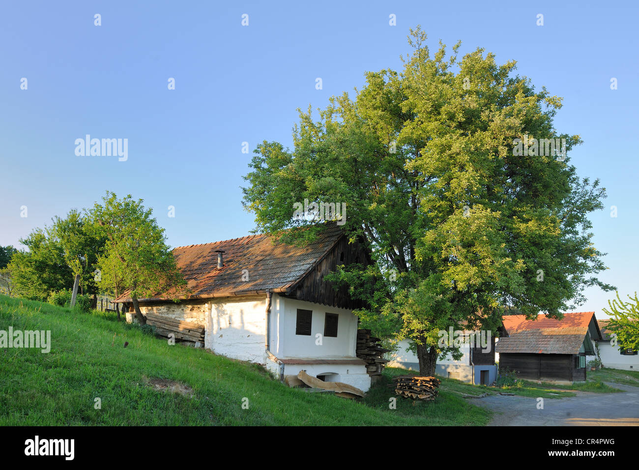 Wine grower's house on Csaterberg mountain, Kohfidisch, Burgenland, Austria, Europe Stock Photo