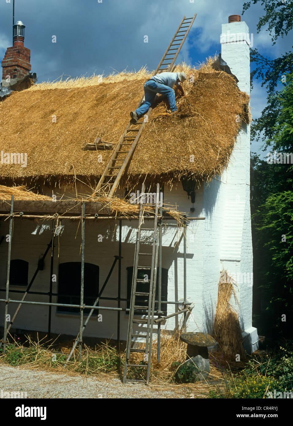 Thatched roof house being repaired Stock Photo