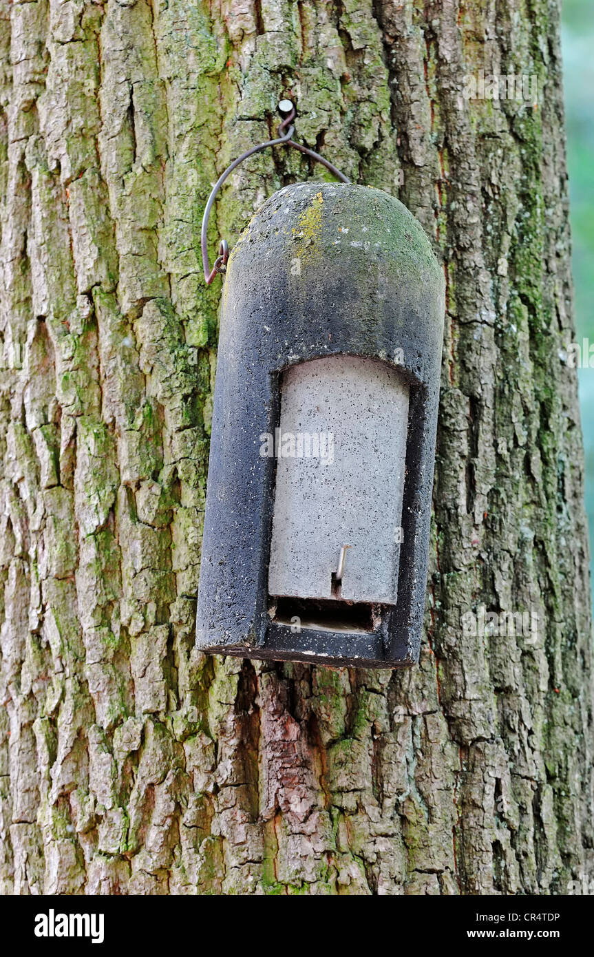 Bat box hanging on tree hires stock photography and images Alamy