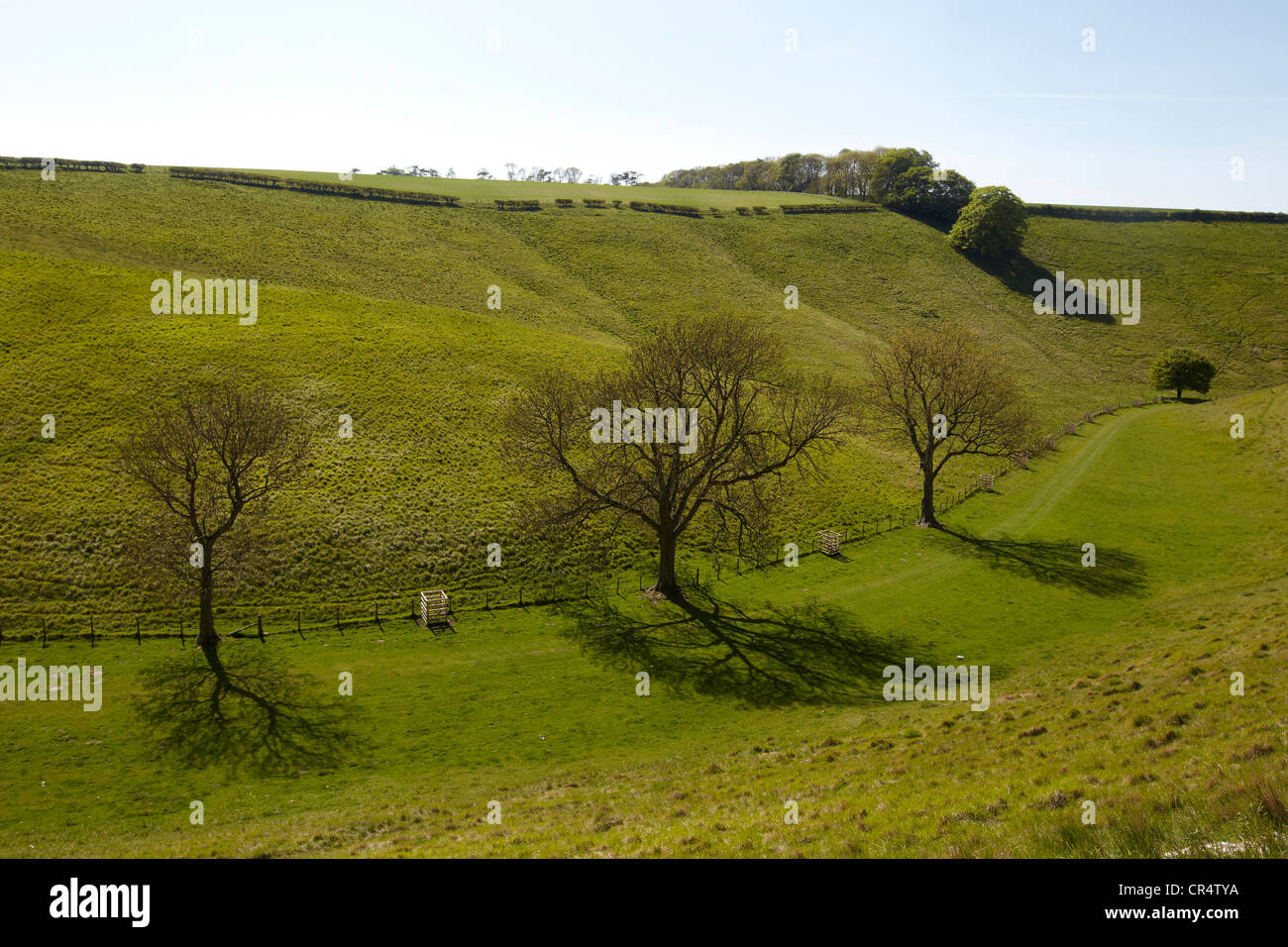 Thixen dale, The Wolds, East Yorkshire, UK Stock Photo