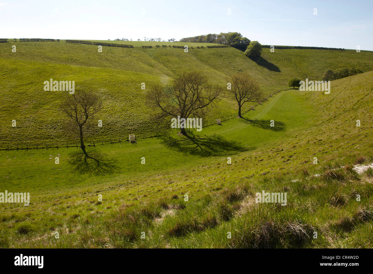 Thixen dale, The Wolds East Yorkshire, UK Stock Photo