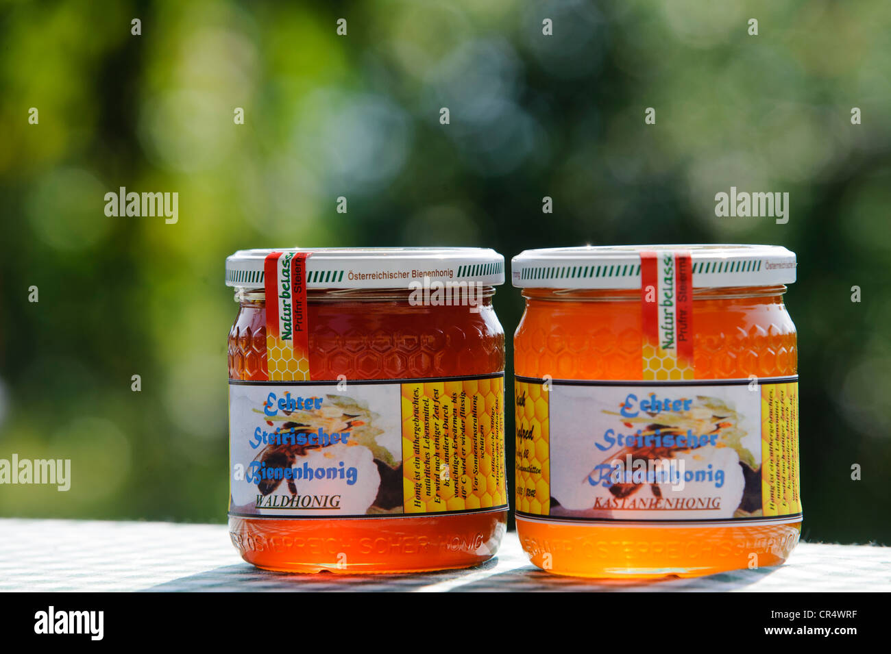 Styrian chestnut honey and forest honey in glass jars, wine region, Southern Styria, Styria, Austria, Europe Stock Photo