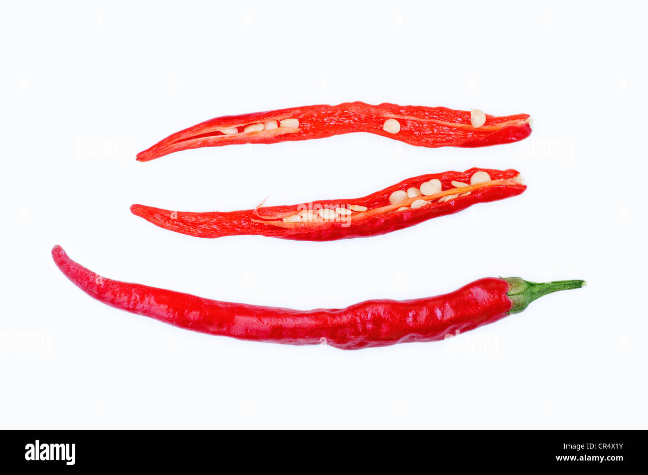 Chili Peppers (Capsicum frutescens) Stock Photo