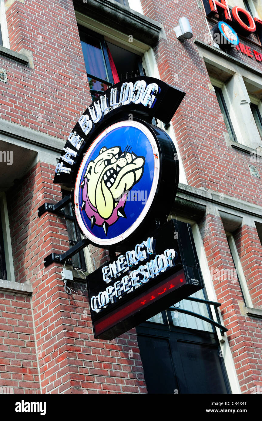 Netherlands, Amsterdam, red District, sign for Bulldog coffeeshop Stock Photo