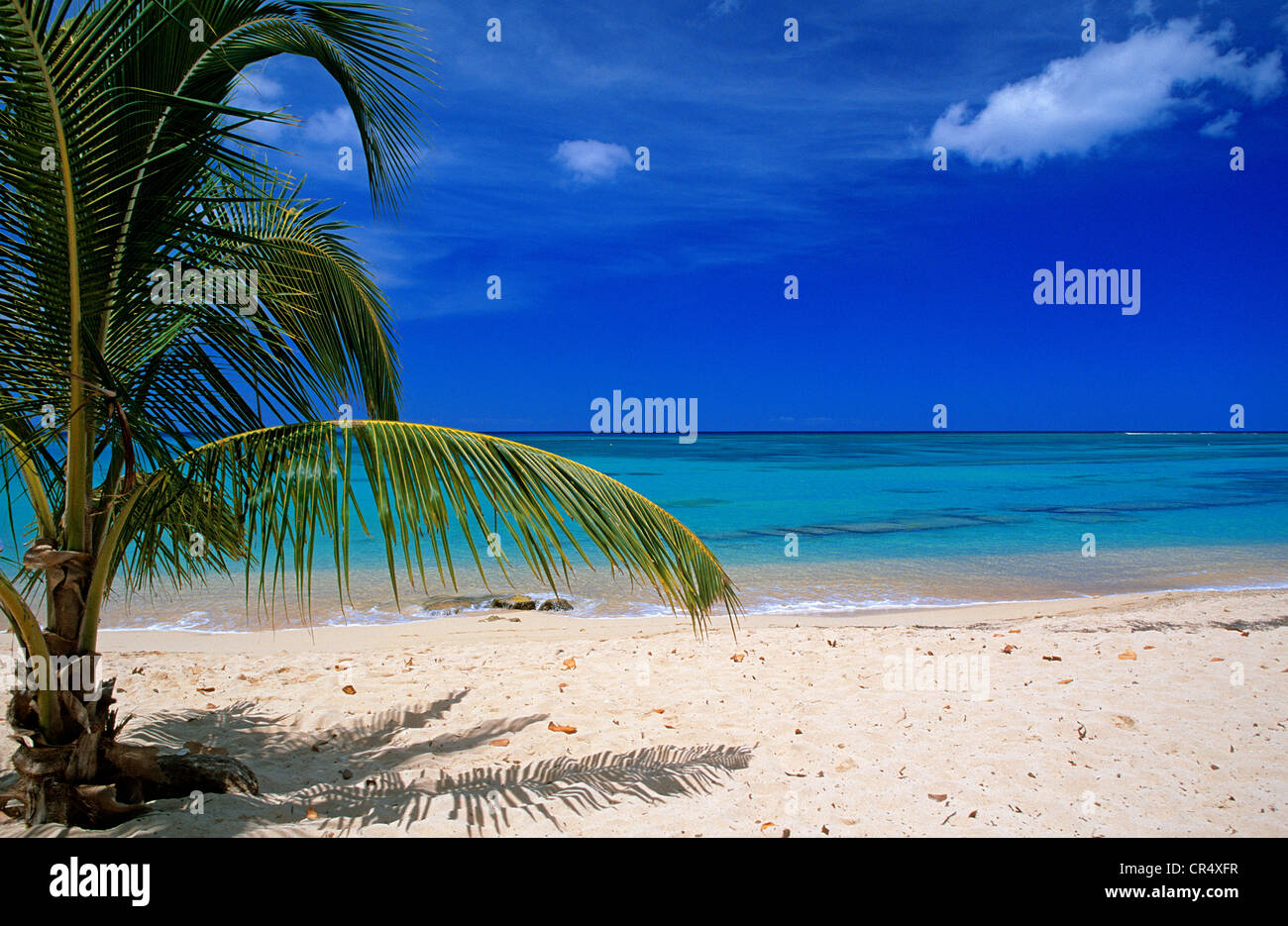 France Guadeloupe French West Indies Grande Terre Port