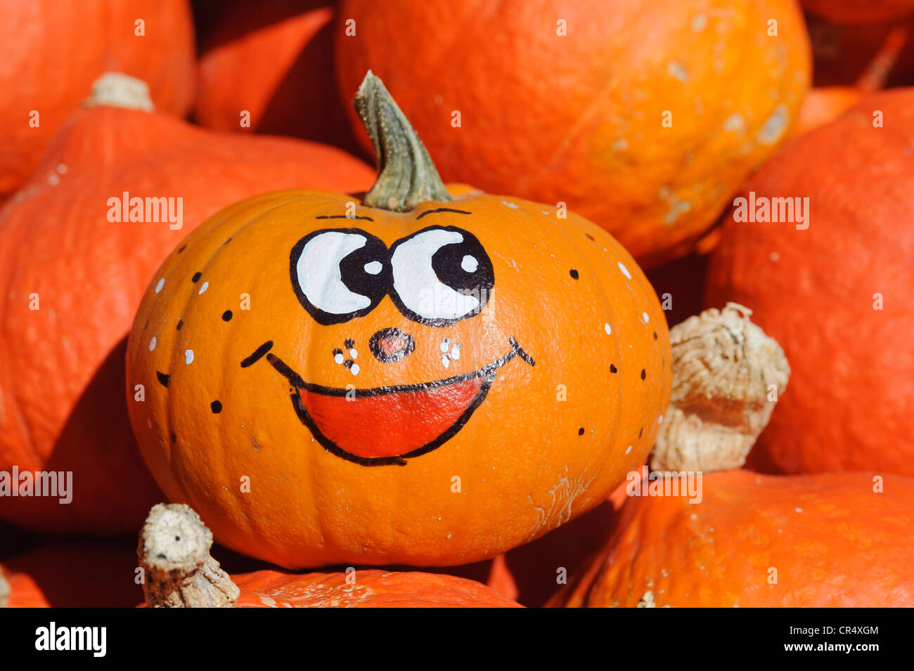 Pumpkin with a funny face Stock Photo - Alamy