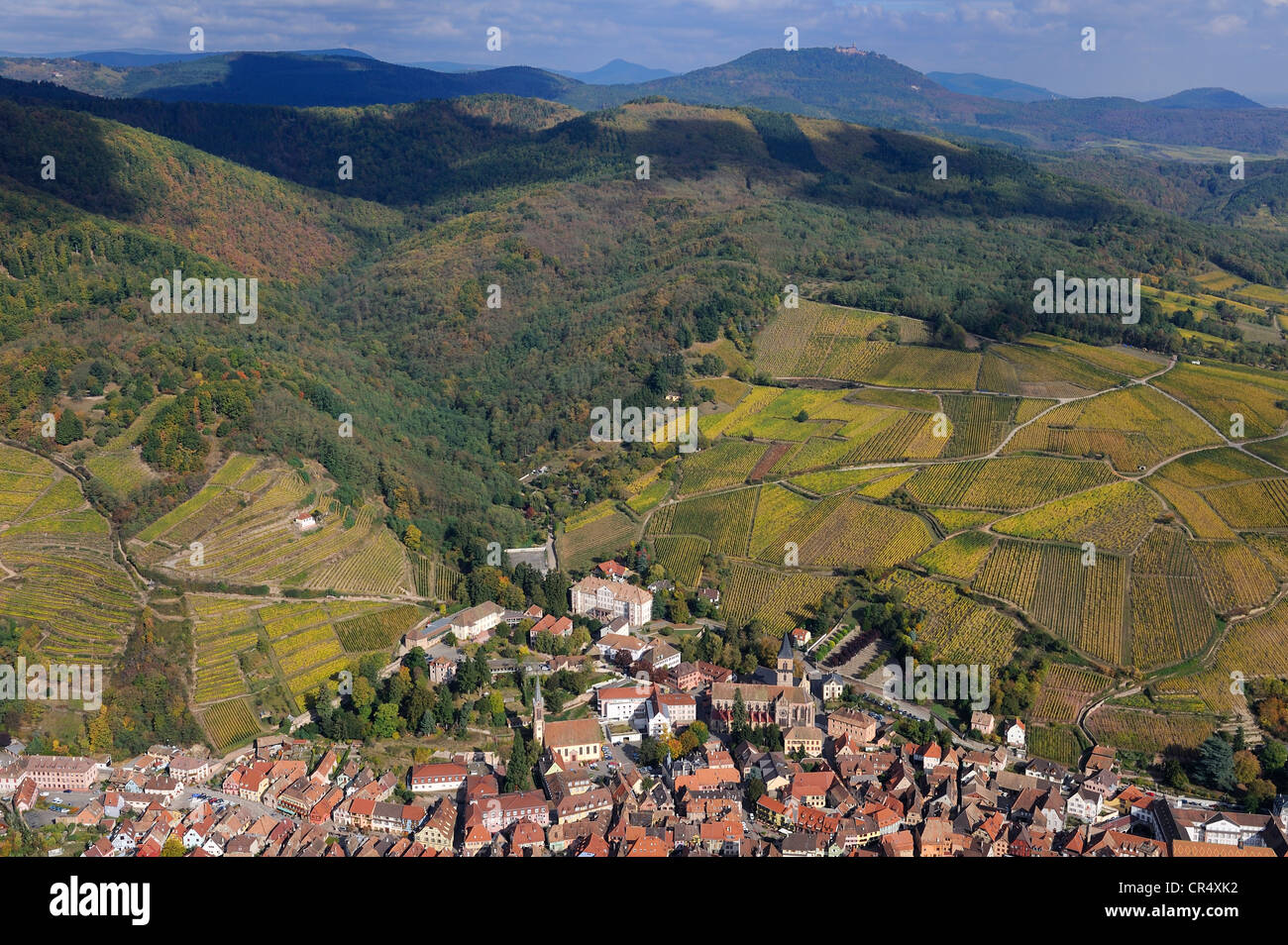 France, Haut Rhin, Ribeauville and its vineyard at the bottom of Vosges Massif (aerial view) Stock Photo