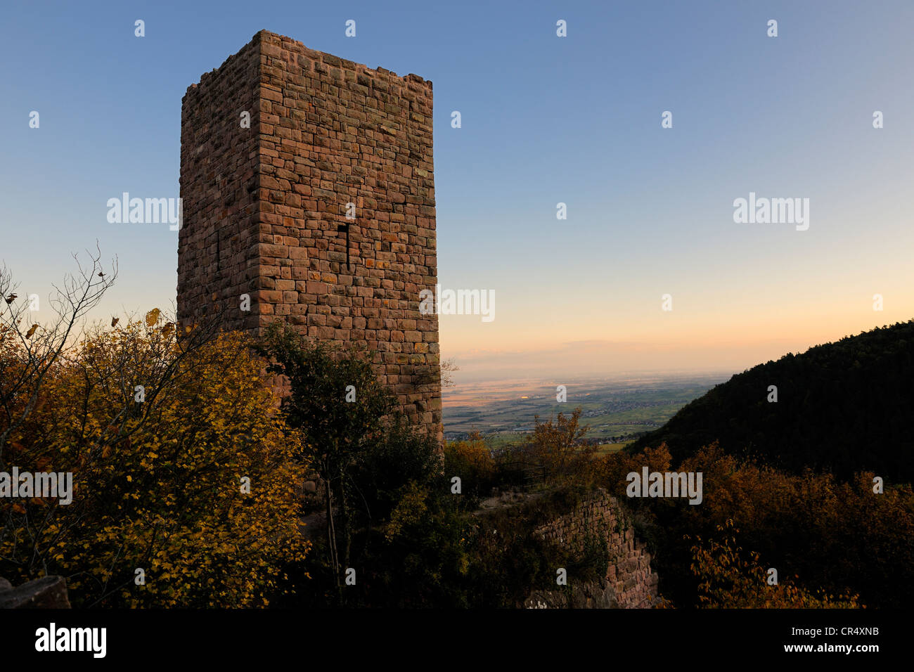 France, Haut Rhin, the three donjons of Eguisheim in the Vosges Massif Stock Photo
