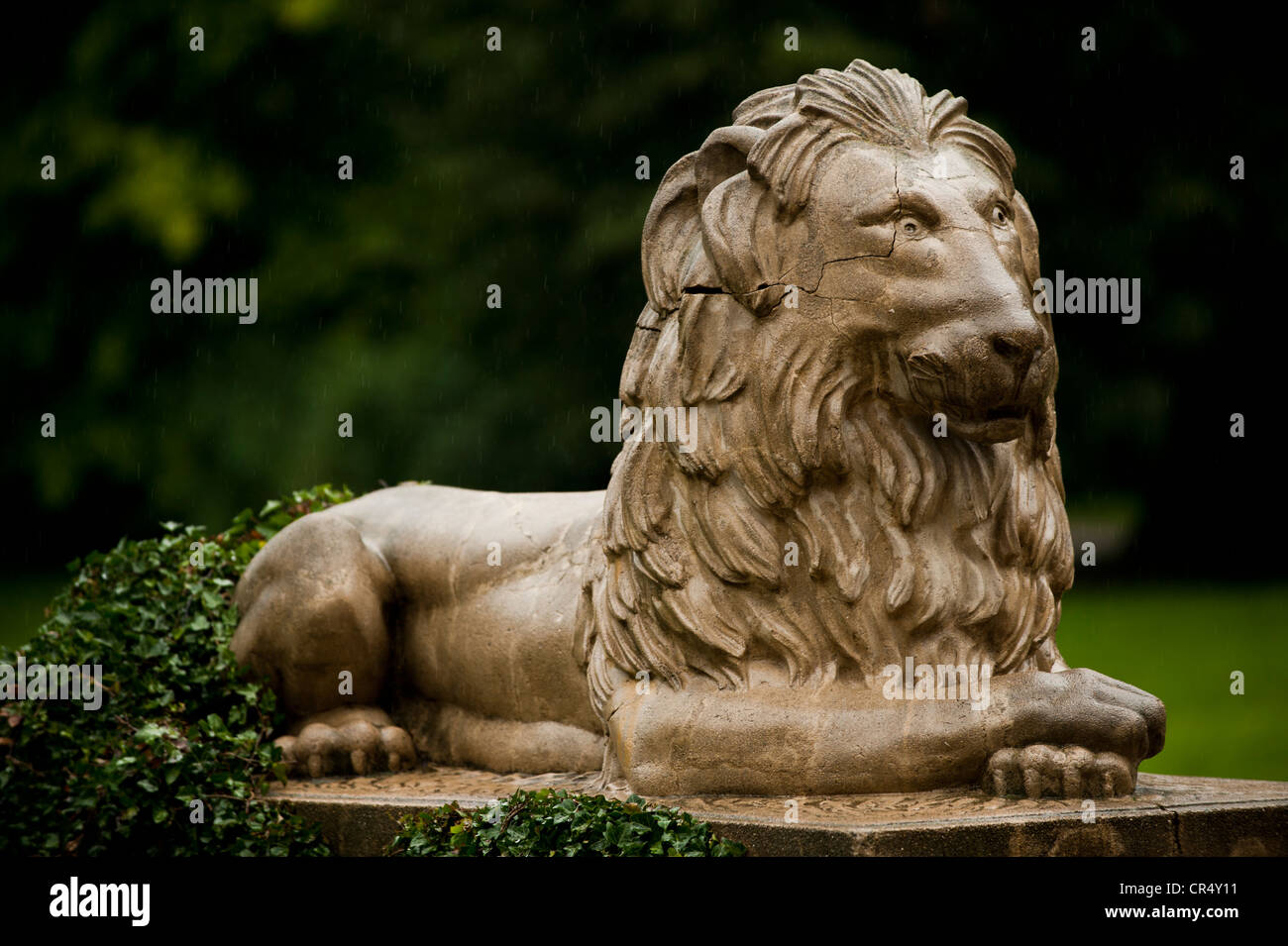Lion sculpture, Lancut Castle, Landshut, Lancut, Subcarpathian province, Poland, Europe Stock Photo