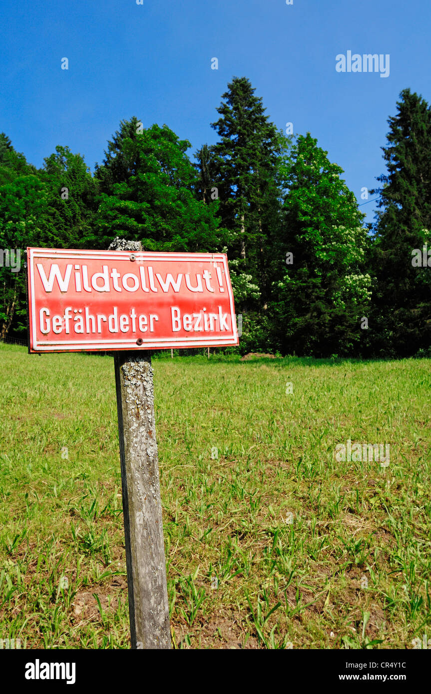 Sign, Wildtollwut Gefaehrdeter Bezirk, German for Lyssavirus endangered district, Berchtesgaden, Bavaria, PublicGround Stock Photo