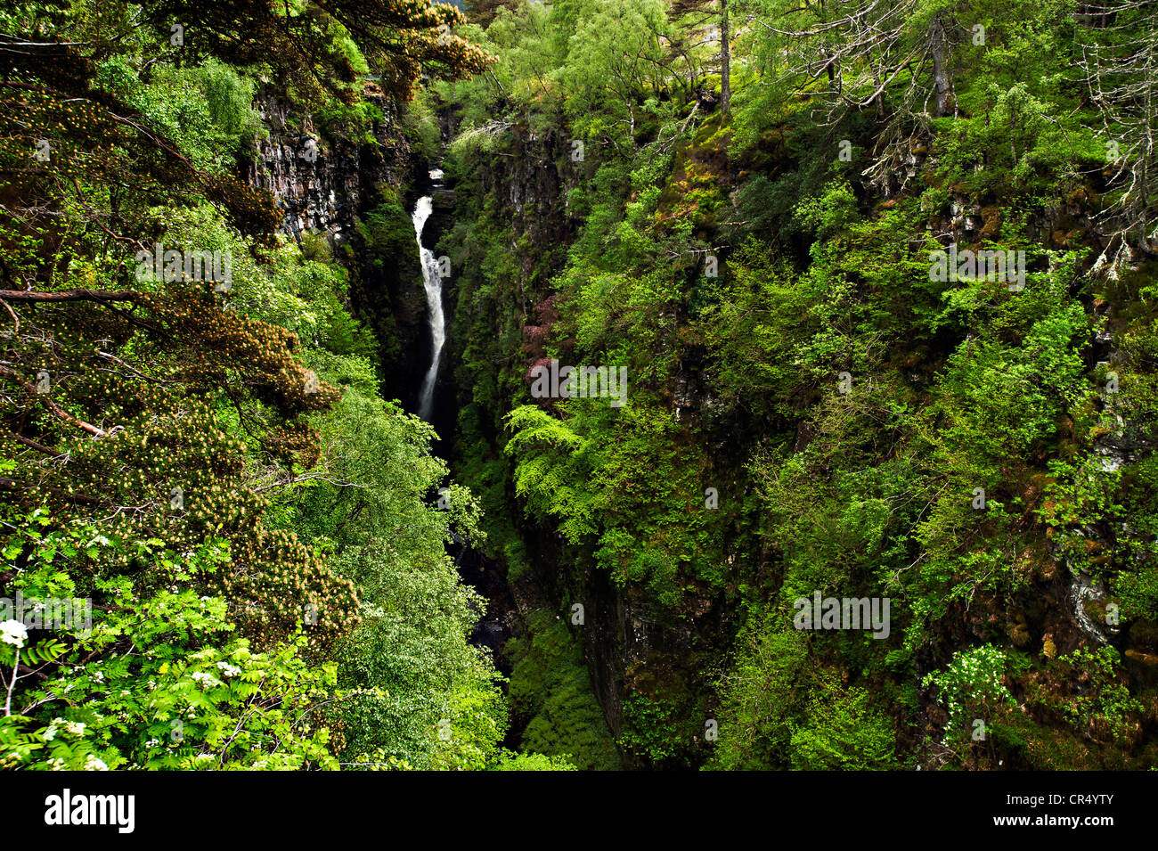 Falls of Measach, Corrieshalloch Gorge, Scotland, United Kingdom, Europe Stock Photo