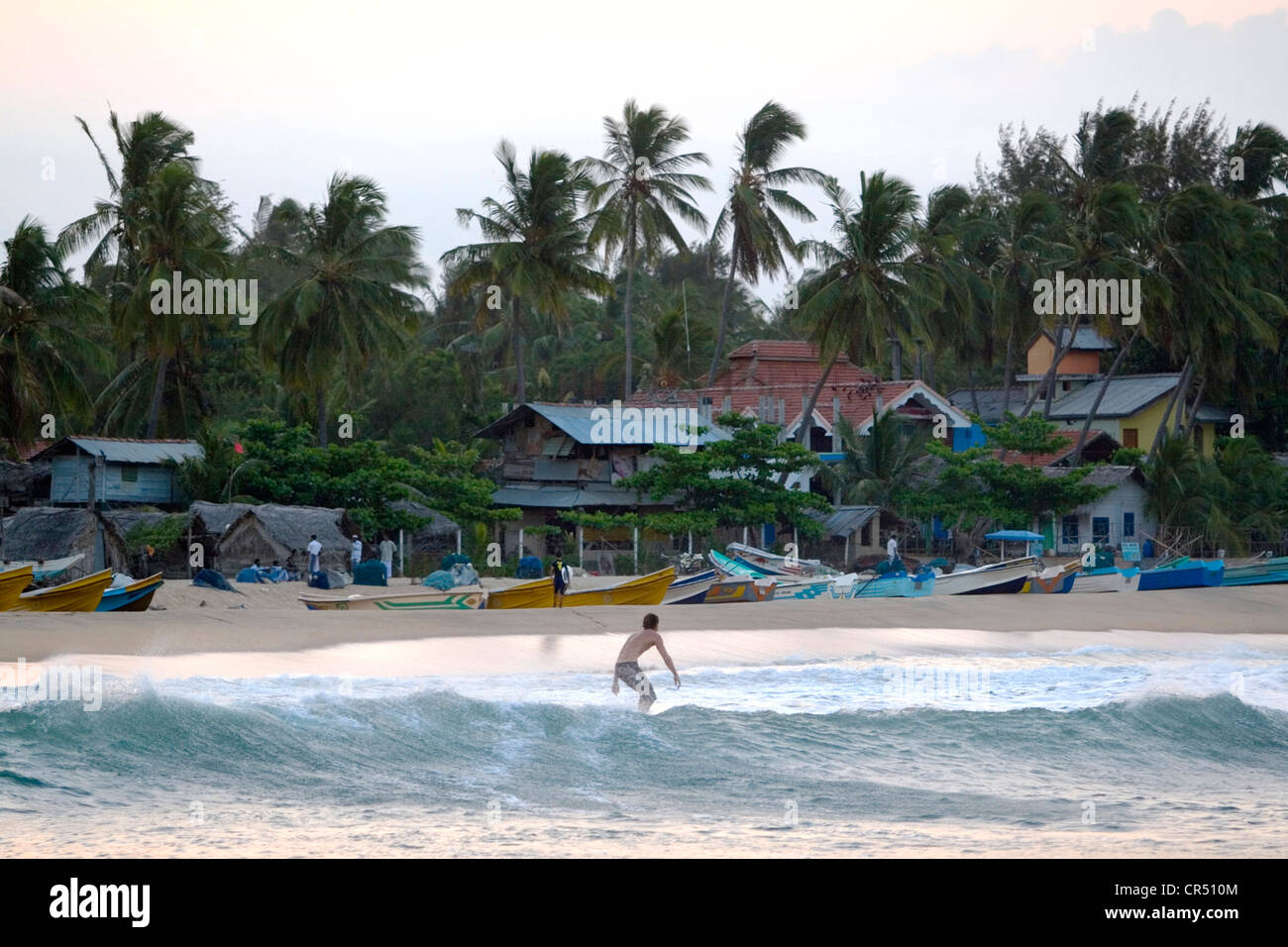 Surfing Baby Point at sunset, Arugam Bay, Sri Lanka Stock Photo - Alamy
