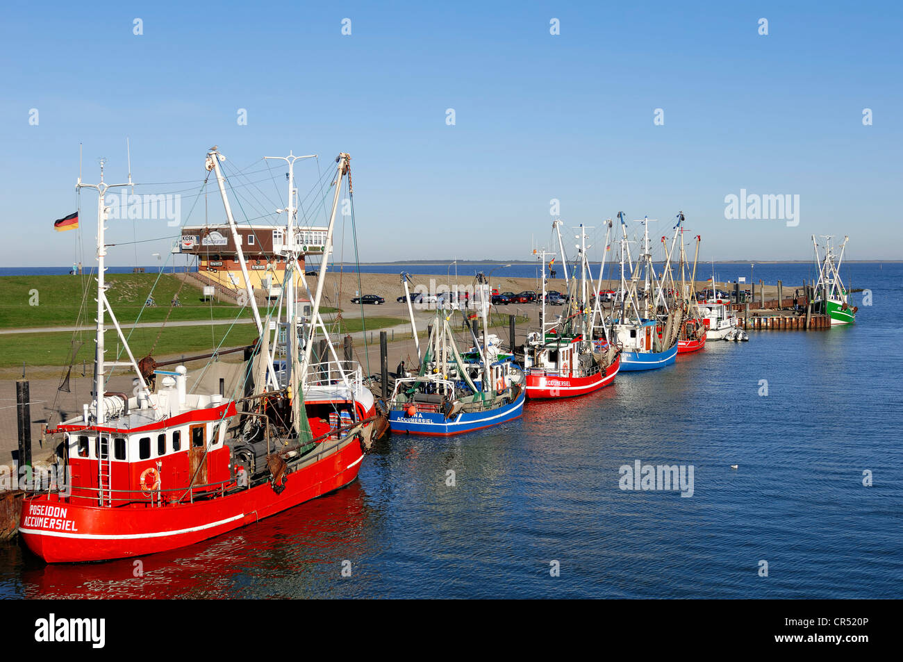 Shrimp cutters in harbour, Accumersiel, East Frisia, Lower Saxony, Germany, Europe Stock Photo