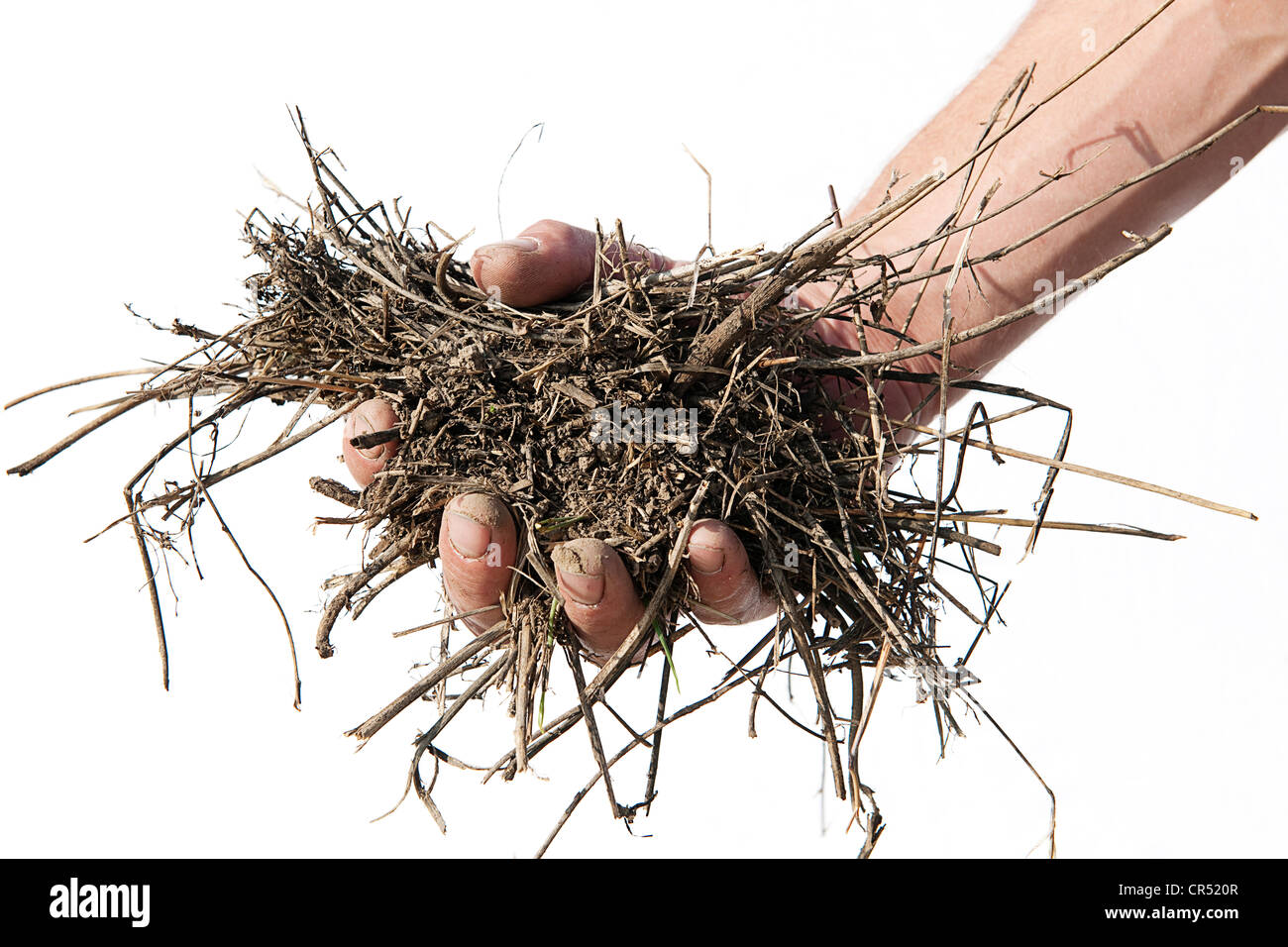 A handful of soil Stock Photo