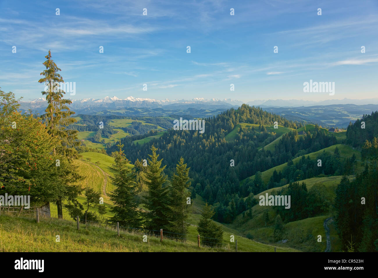 View from Luederenalp across the Emmental region to the Bernese Oberland, Canton Bern Stock Photo