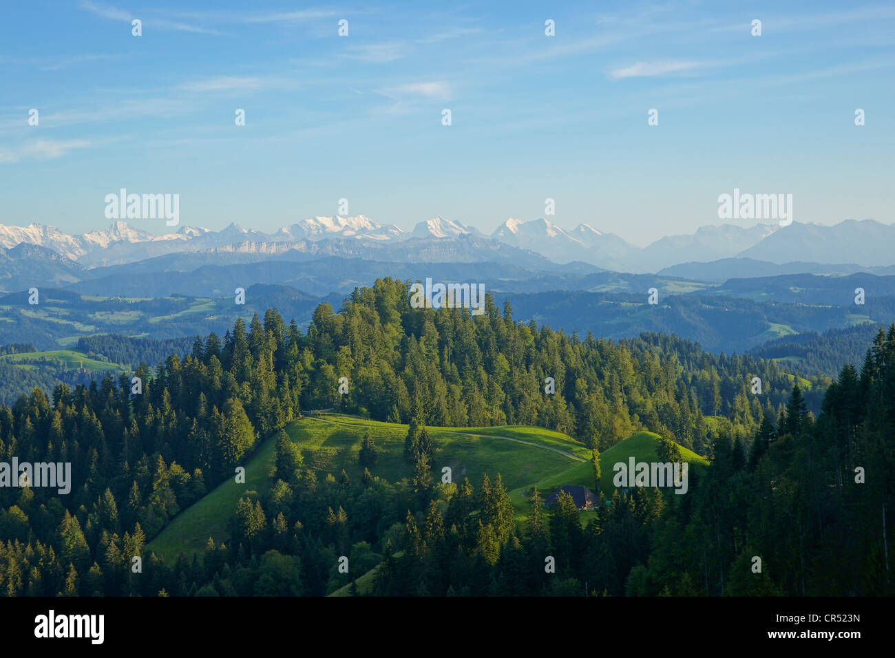 View from Traxelwald across the Emmental region to the Bernese Oberland, Canton Bern, Switzerland, Europe Stock Photo