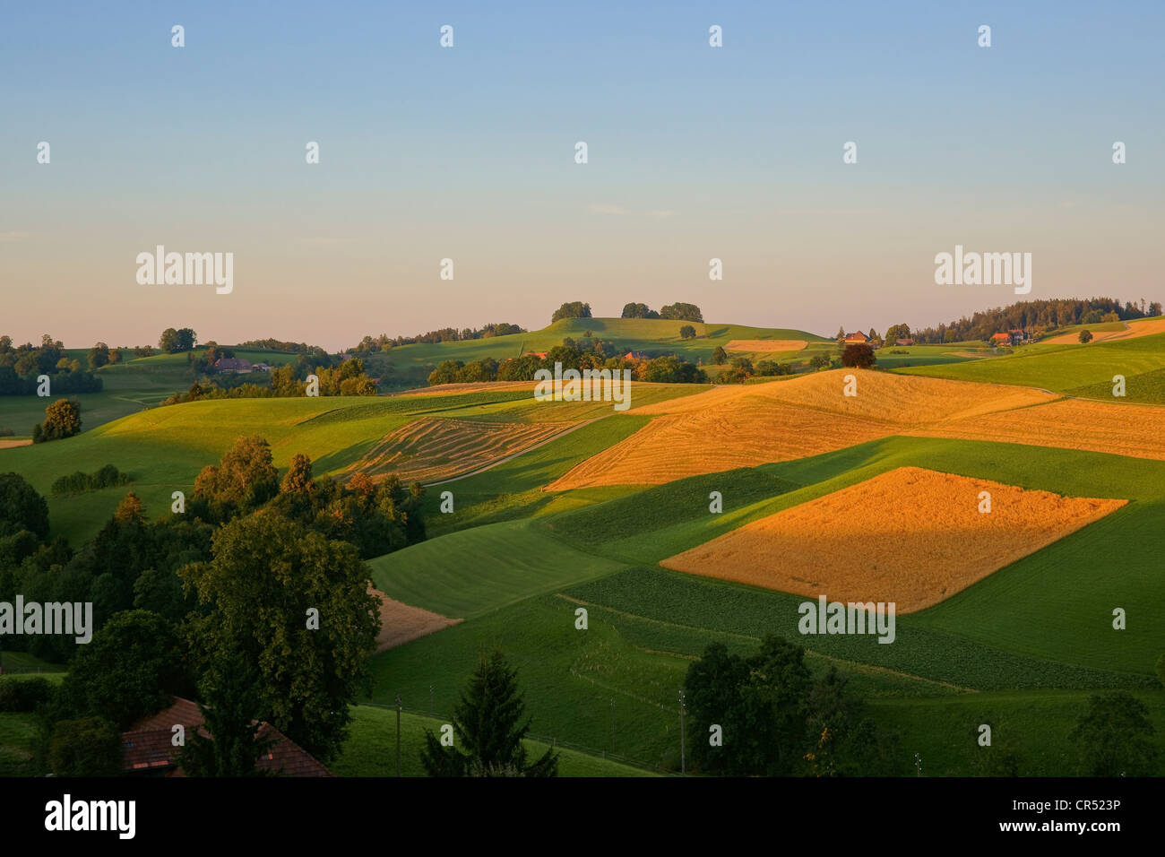 Landscape with fields and meadows in the Emmental region at dusk, Wasen