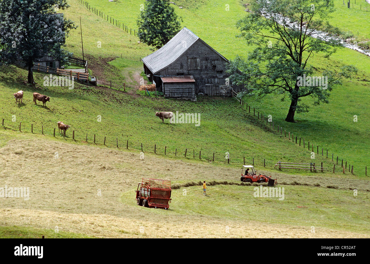 Switzerland, Appenzell Innerrhoden, Appenzell, high mountian pasture farm at Seealpsee Stock Photo
