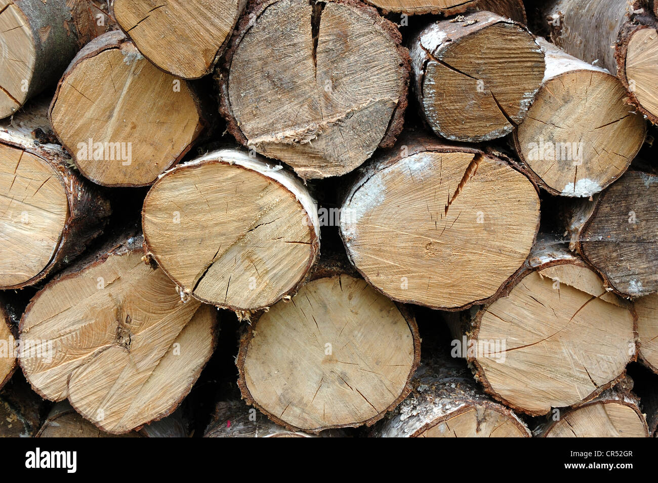 Cut logs ready for the wood burning stove Stock Photo Alamy