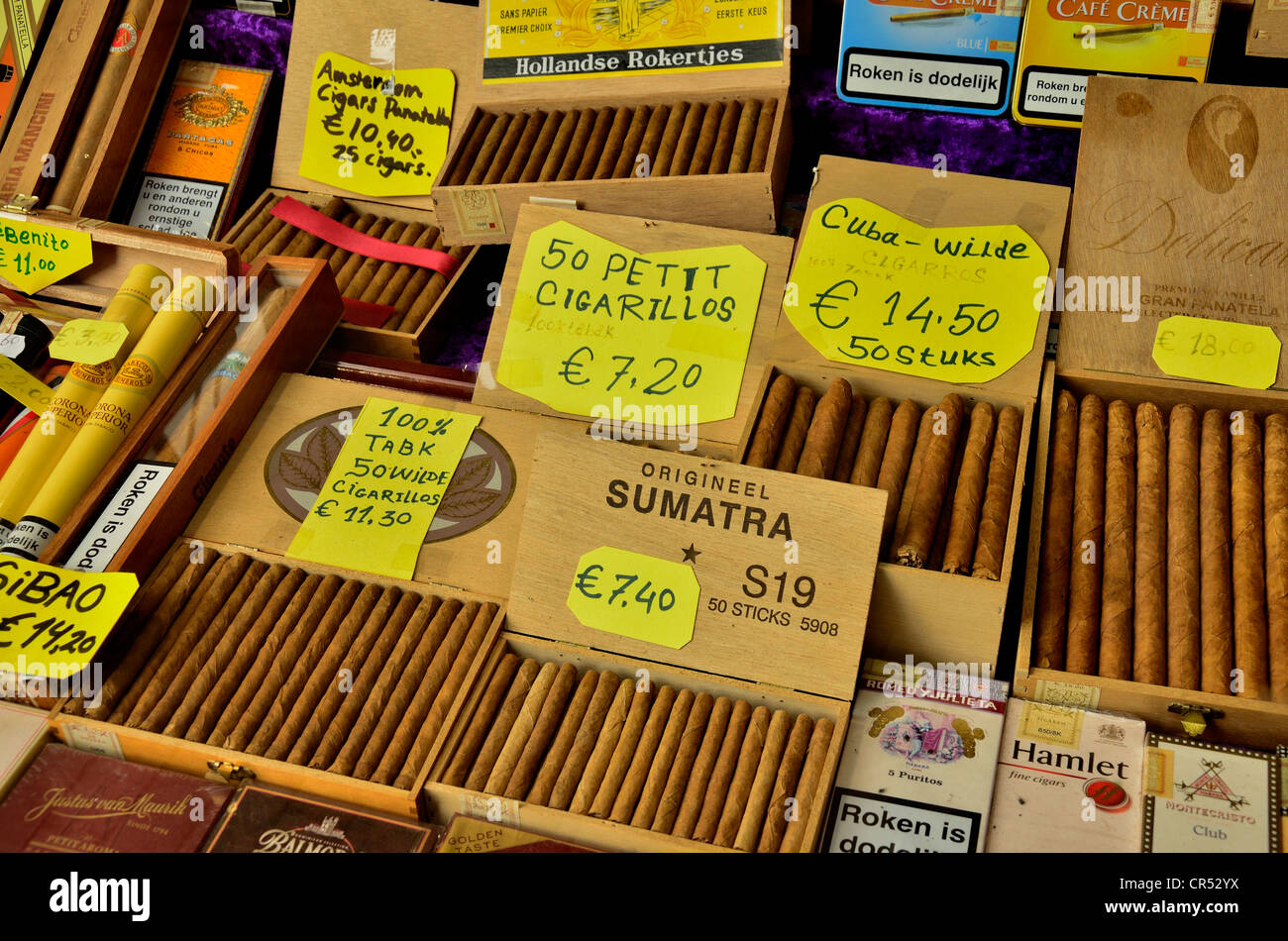 Range of cigars in a shop in Amsterdam, Holland, Netherlands, Europe