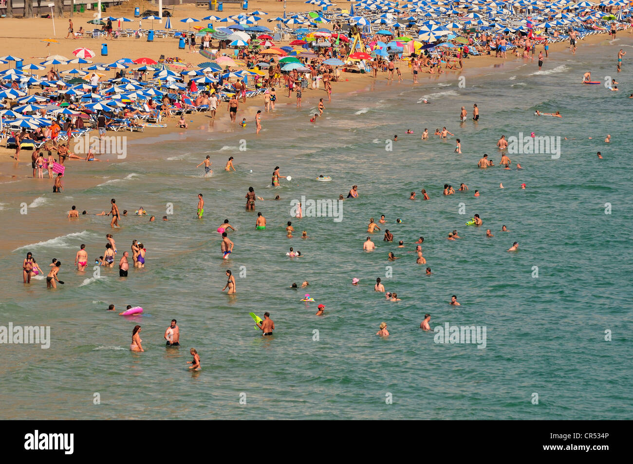 Bathers on Playa Levante beach, mass tourism, Benidorm, Costa Blanca, Spain, Europe Stock Photo