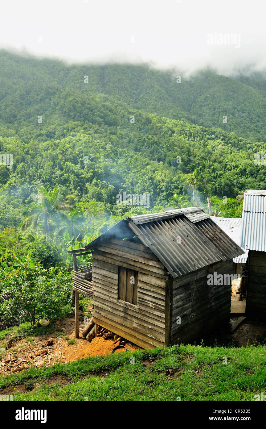 Parque nacional flora hi-res stock photography and images - Alamy