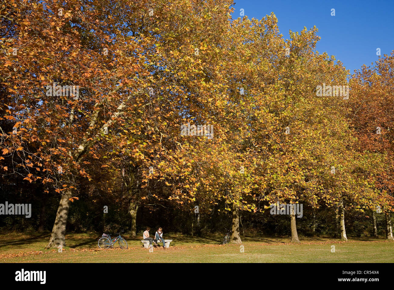 France, Loir et Cher, Loire Valley, UNESCO World Heritage, Chambord, chateau de Chambord, a character in the royal castle park Stock Photo