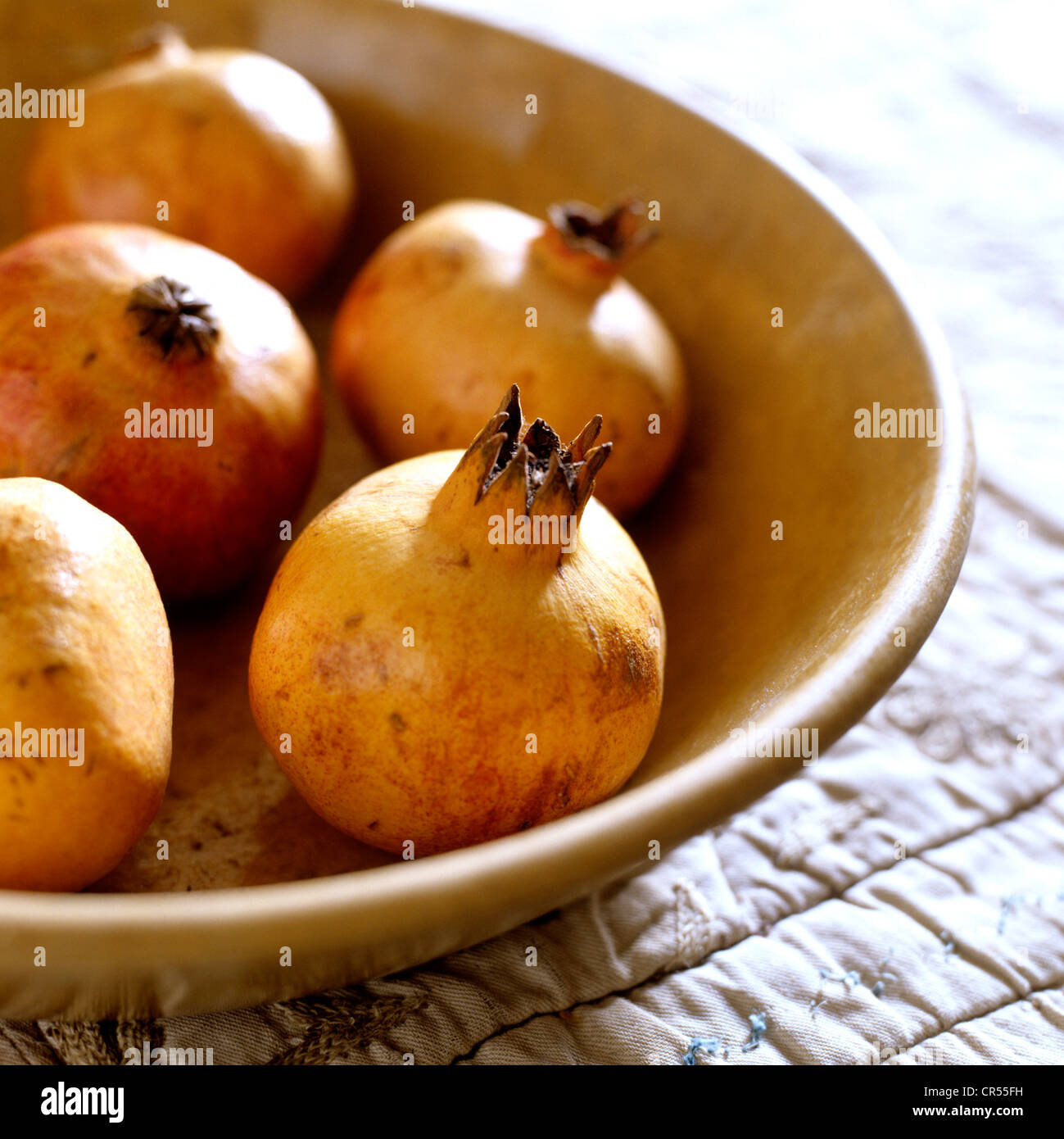 Herefordshire home of craftswoman of leather goods Stock Photo