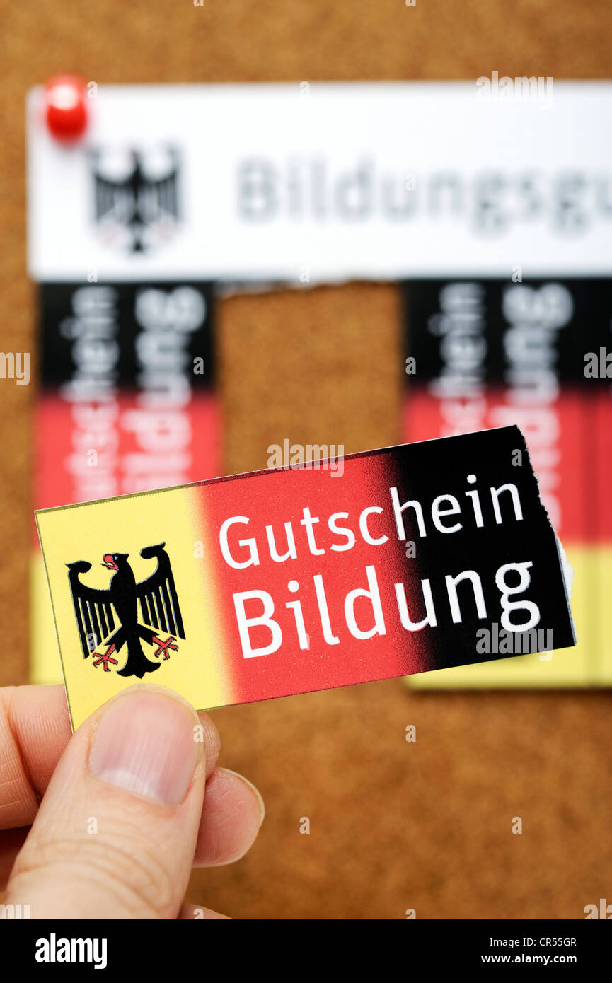 Vouchers on a noticeboard, Bildungsgutschein coupons, lettering