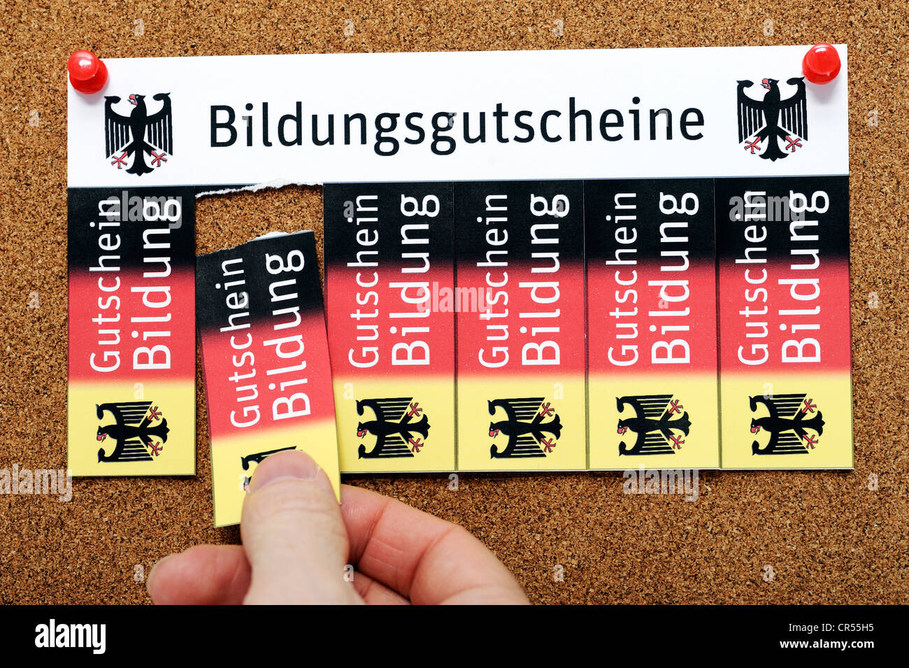 Vouchers on a noticeboard, lettering "Bildungsgutscheine", German for