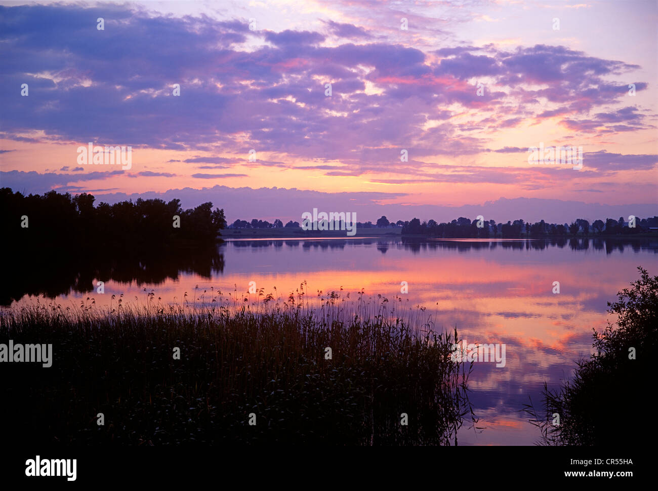 Evening light over the masurian lake Kolmowo in Poland. Abendlicht über dem Kolmowo See in Masuren. Stock Photo
