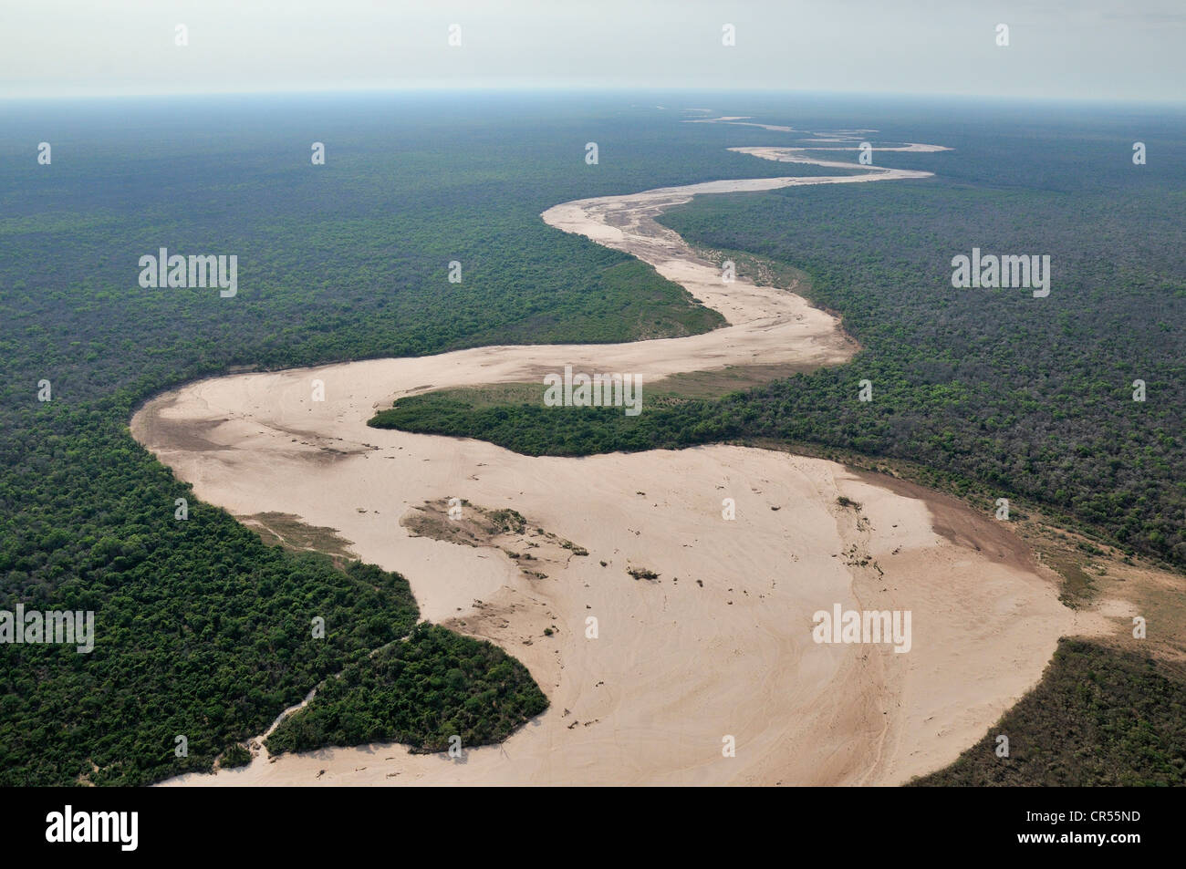 Aerial view, dried up river bed and the Gran Chaco dry forest, Salta, Argentina, South America Stock Photo