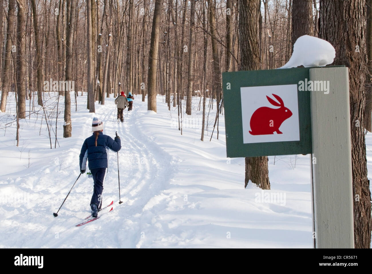 Canada, Quebec Province, Montreal, young girl cross country skiing in