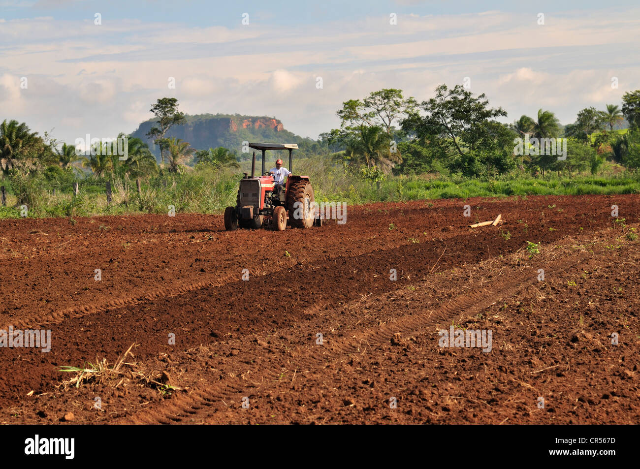 Field work, tractor on a field, settlement of the Movimento dos Trabalhadores Rurais sem Terra landless movement, MST Stock Photo