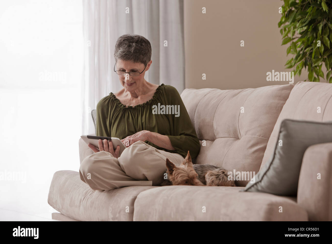 Caucasian woman using digital tablet on sofa with dog Stock Photo