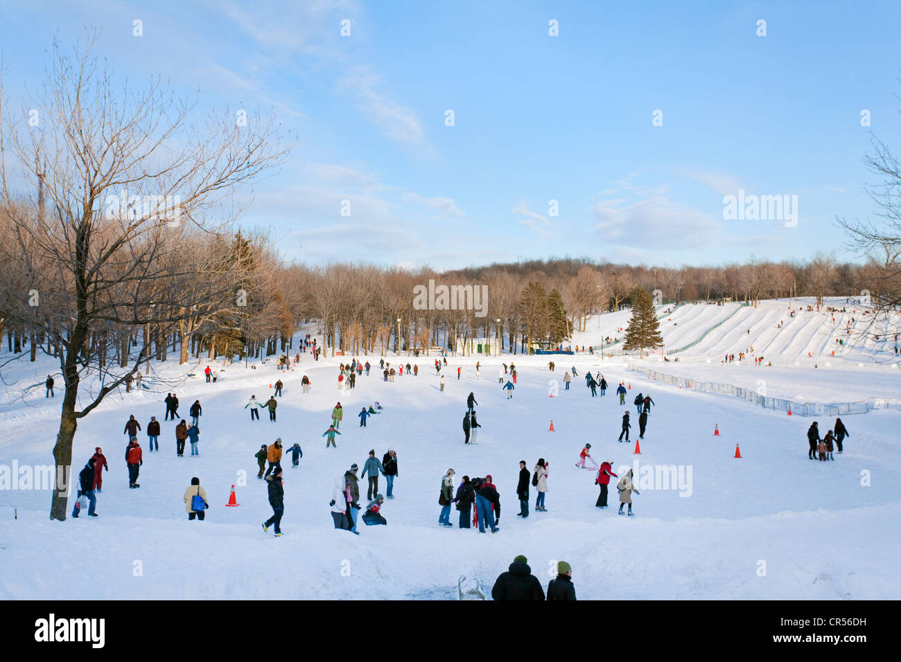 Montreal mount royal skate hires stock photography and images Alamy