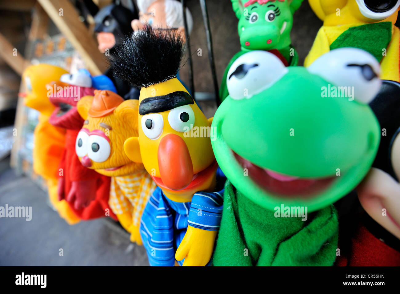 Hand puppets, Kermit, Bert, Fozzie Bear, Mexico, Latin America, North America Stock Photo