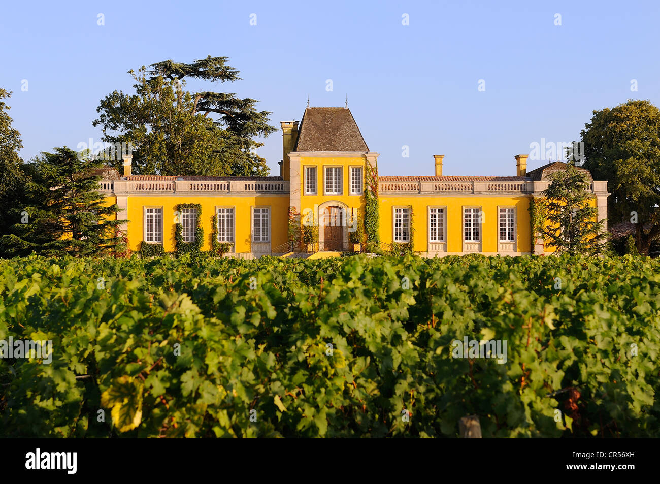 France, Gironde, St Estephe, Medoc region, the vineyard and chateau