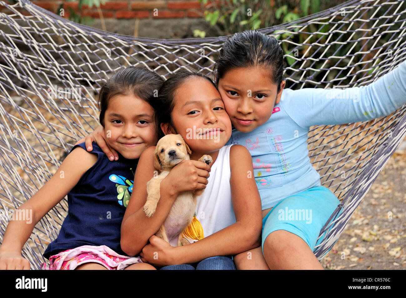 Girl with a puppy in a hammock, Queretaro, Mexico, North America, Latin America Stock Photo