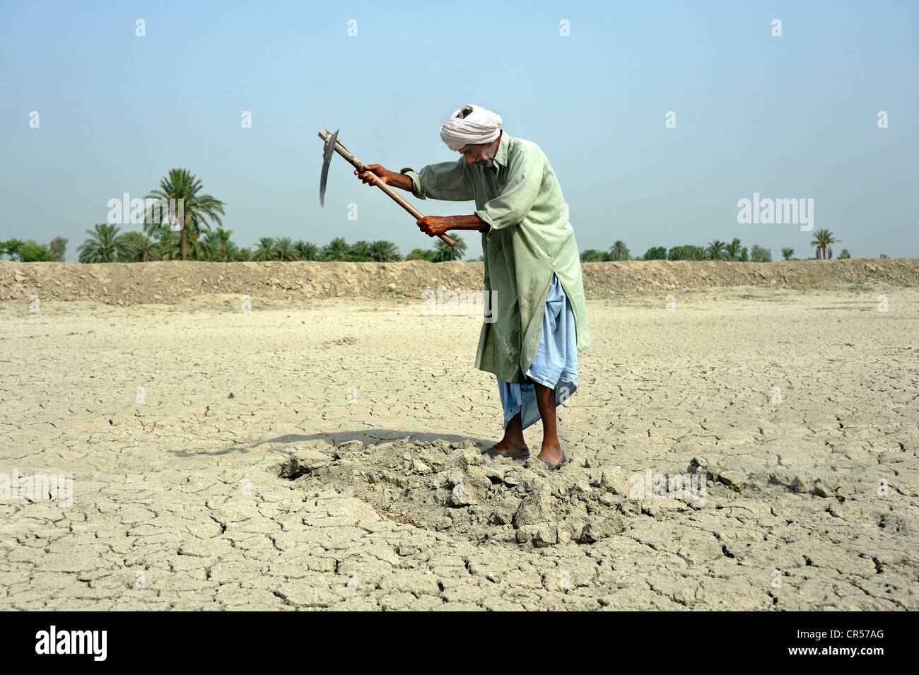 Farmer working on dried loamy soil, Basti Lehar Walla village, Punjab, Pakistan, Asia Stock Photo