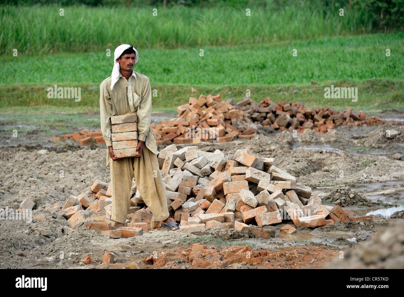 Man carrying bricks, Basti Lehar Walla village, Punjab, Pakistan, Asia Stock Photo