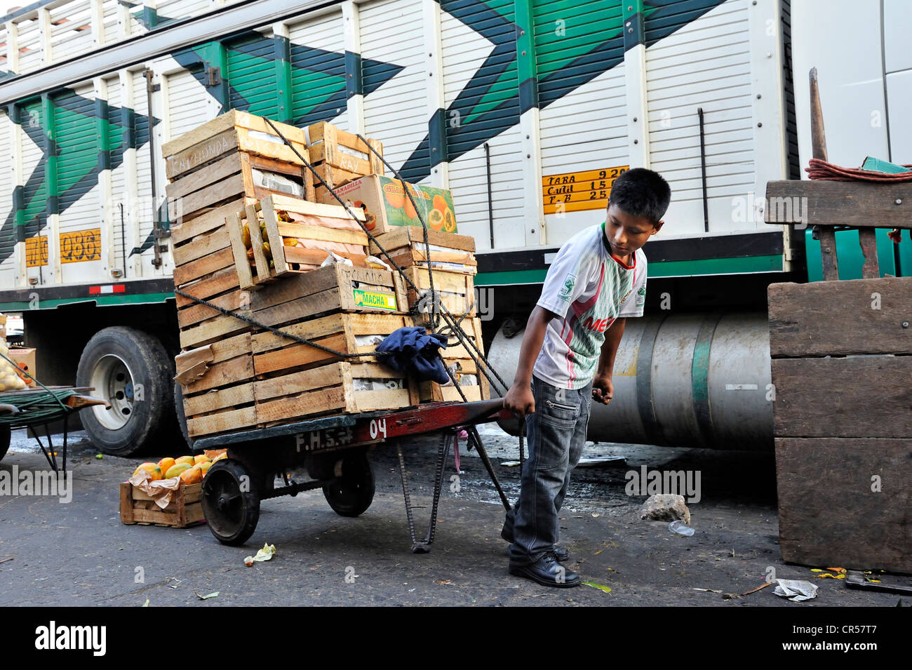 Child labour, boy, 11 years, working as a carrier at the fruit market Mercado de Frutas, La Victoria district, Lima, Peru Stock Photo