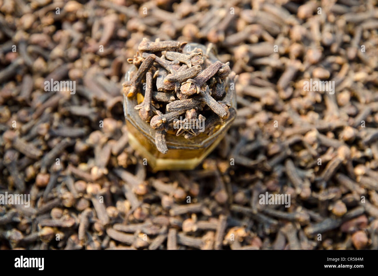 Clove, spice for sale on the market in the suburb of Paharganj, New Delhi, India, Asia Stock Photo