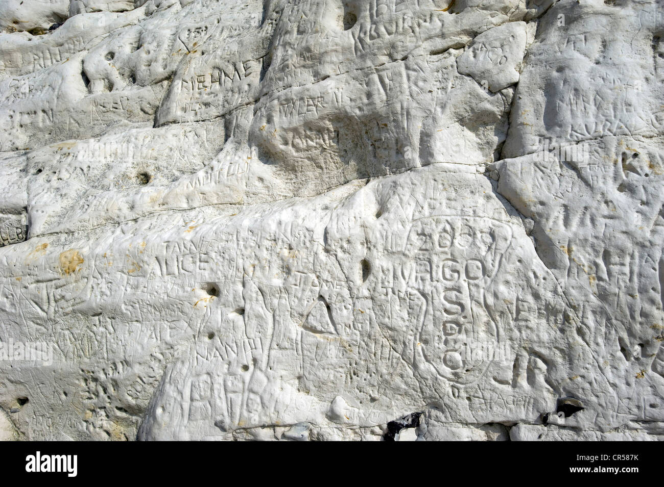 Names scratched in the chalk cliffs of the Seven Sisters cliffs in Sussex England Britain by visitors. Stock Photo