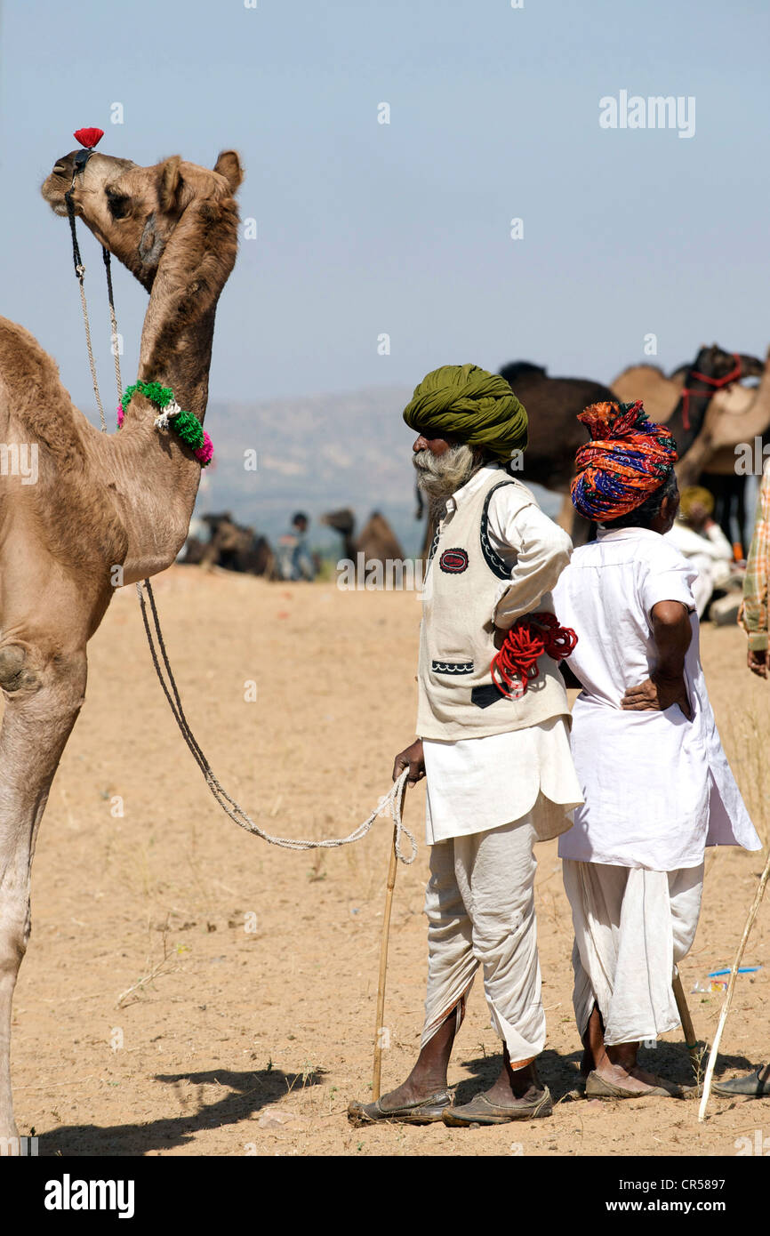 India, Rajasthan State, Pushkar, camel fair Stock Photo - Alamy