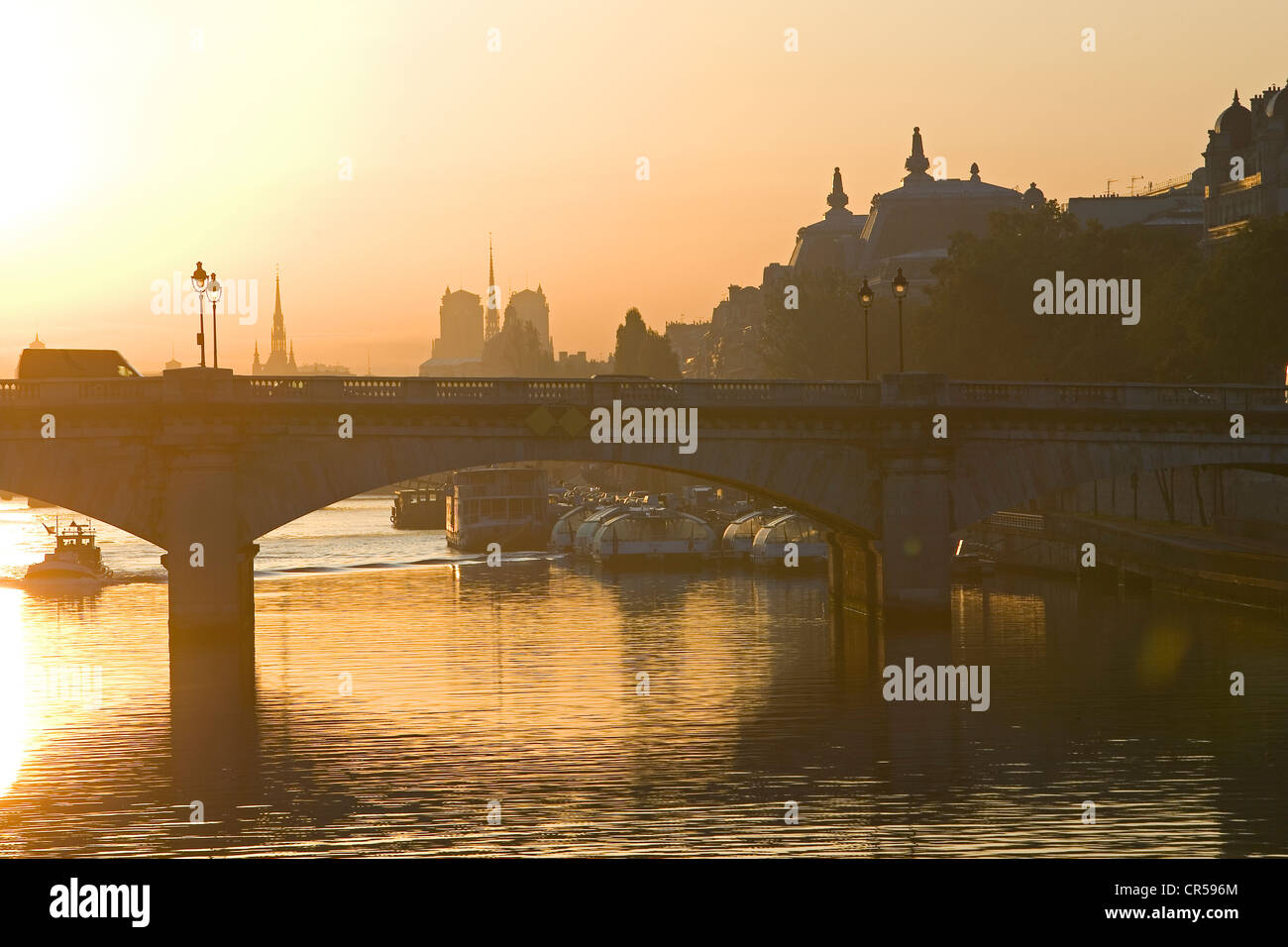 France, Paris, Seine river banks UNESCO World Heritage, the Pont de la Concorde Stock Photo